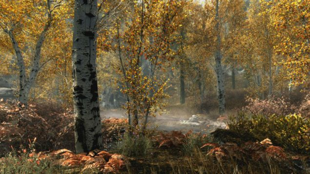 Skyrim, the elder scrolls V