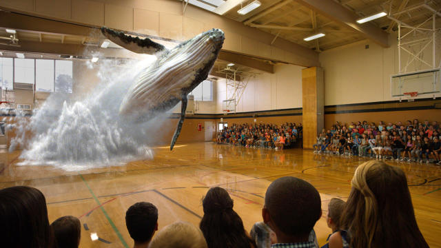 3056230-inline-i-1-magic-leap-scores-7935-million-to-science-the-heck-out-of-mixed-reality-lightfield-magicleapwhal