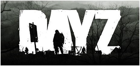 Playing DayZ