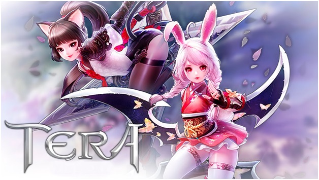 Tera NInja Class