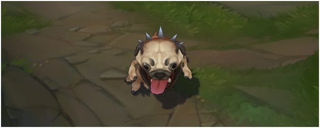 Pug 'Maw