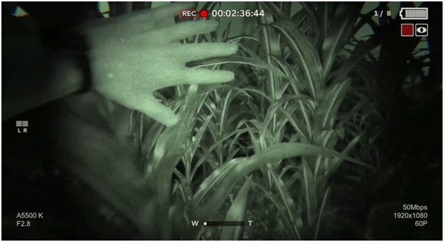 Outlast II - Gameplay