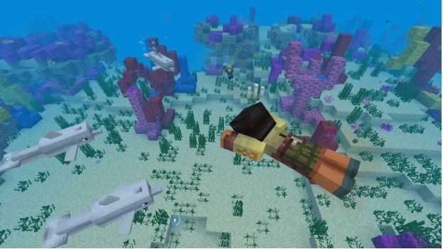 Minecraft Aquatic Phase 2