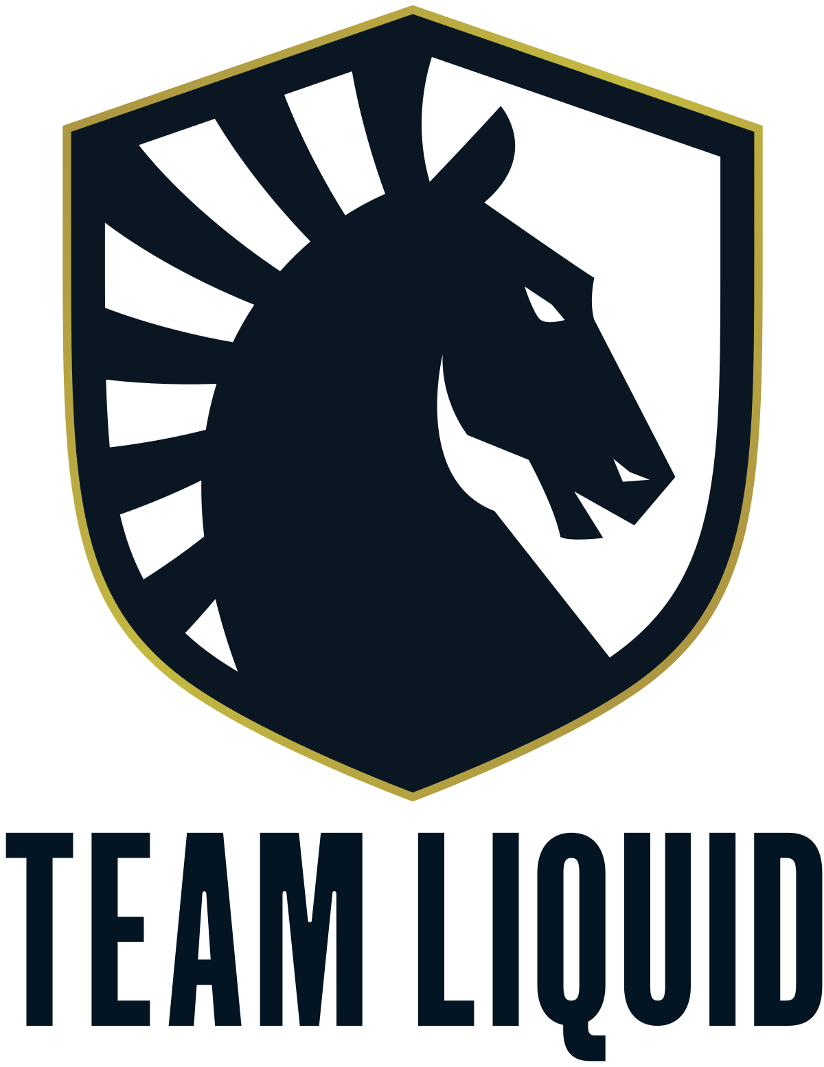 Image result for team liquid